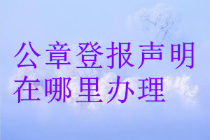 公章登报声明在哪里办理