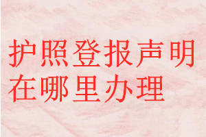 护照登报声明在哪里办理