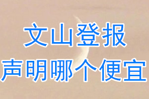 文山登报声明哪个便宜