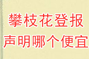 攀枝花登报声明哪个便宜