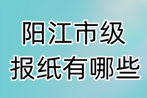 阳江市级报纸有哪些