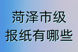 菏泽市级报纸有哪些