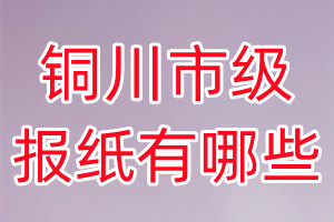 铜川市级报纸有哪些