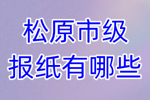 松原市级报纸有哪些