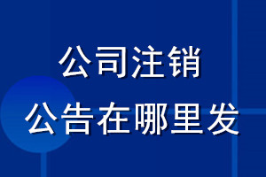 公司注销公告在哪里发