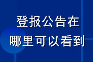 登报公告在哪里可以看到