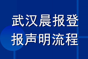 武汉晨报登报声明流程